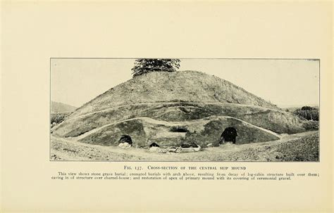  The Great Mound Builders' Collapse: A Saga of Environmental Degradation and Political Instability in 6th Century America